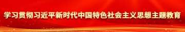 调教鸡吧操逼学习贯彻习近平新时代中国特色社会主义思想主题教育